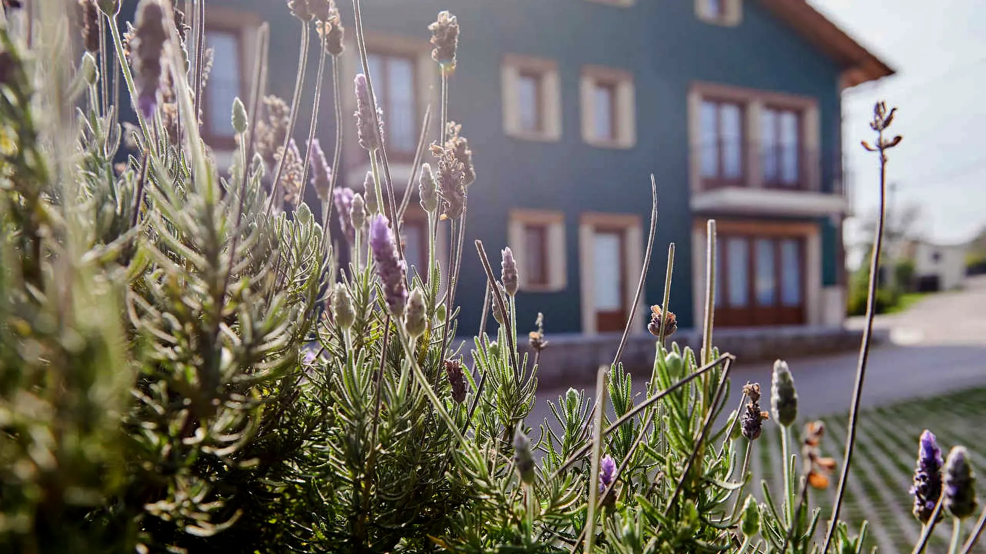 blog imagen destacada